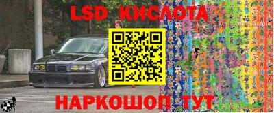 дурь Гусев