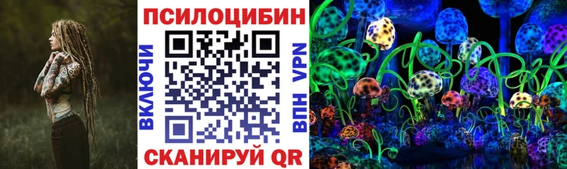 Псилоцибиновые грибы Psilocybe  купить   Химки 